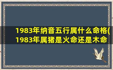 1983年纳音五行属什么命格(1983年属猪是火命还是木命 🐵 )